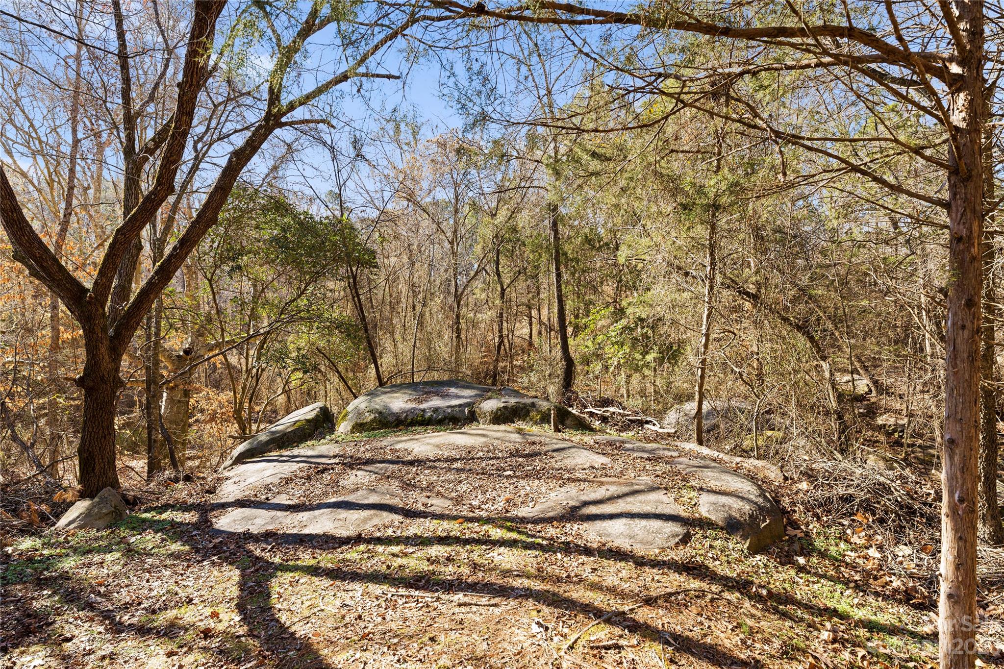 4121 Windy Road Concord, NC 28027 - Photo 5 of 22 a view of a backyard with trees