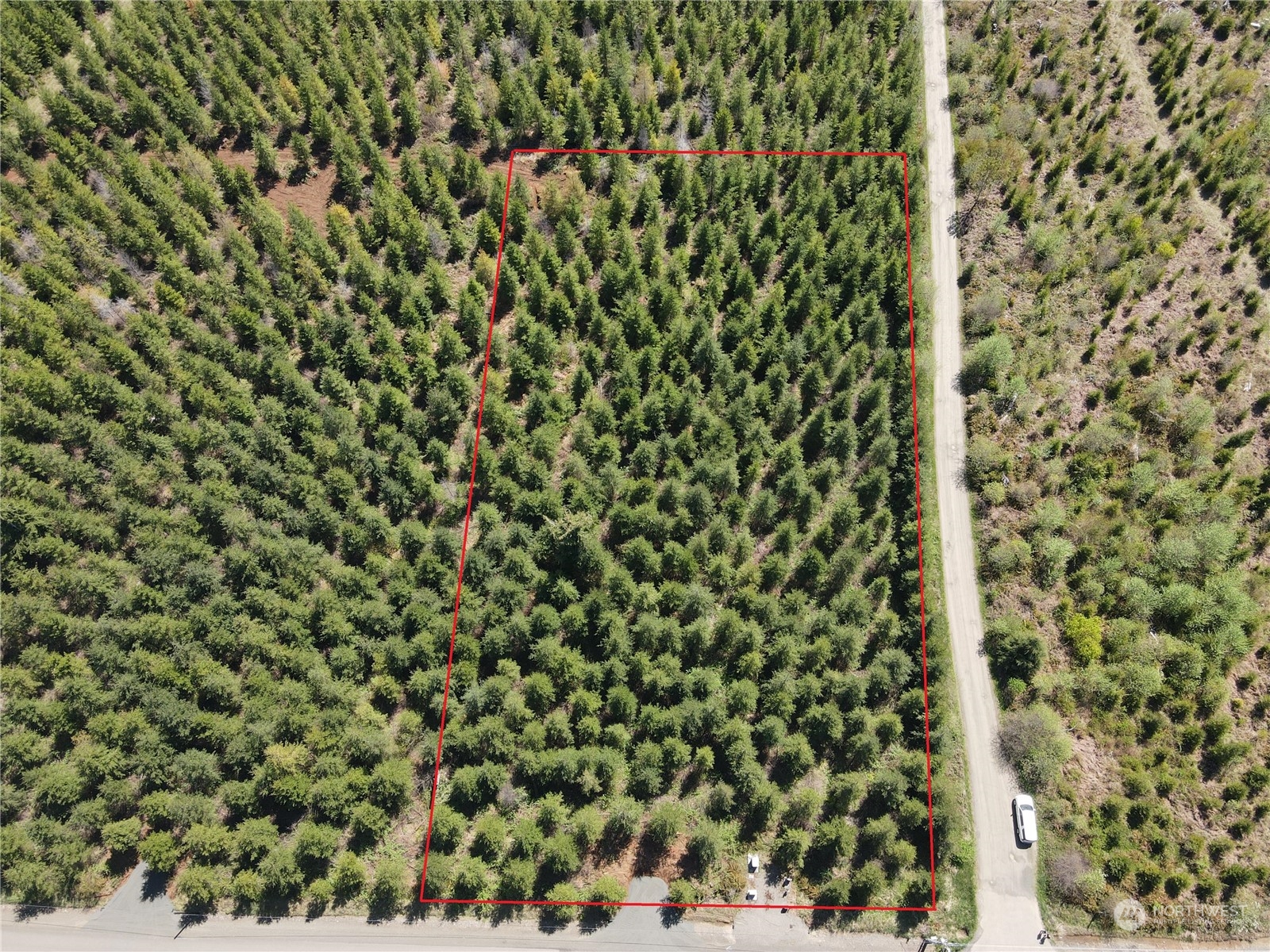 59 Foreman Road McCleary, WA 98557 - Photo 1 of 15 Gallery Image 1