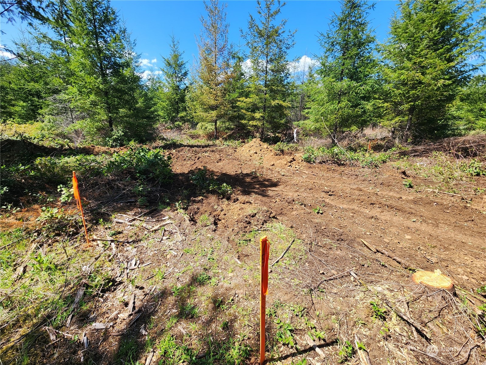 59 Foreman Road McCleary, WA 98557 - Photo 12 of 15 Gallery Image 12