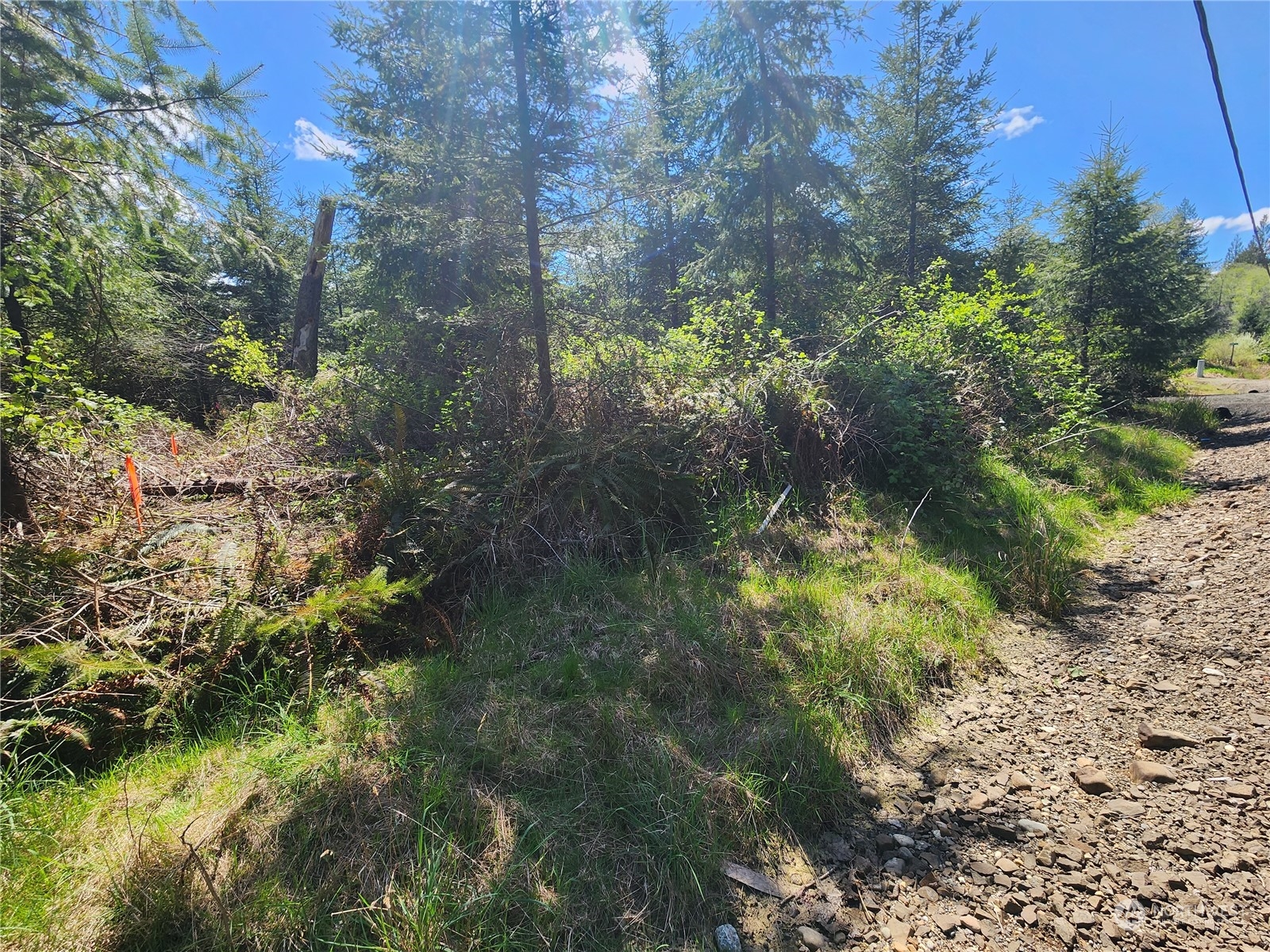 59 Foreman Road McCleary, WA 98557 - Photo 13 of 15 Gallery Image 13