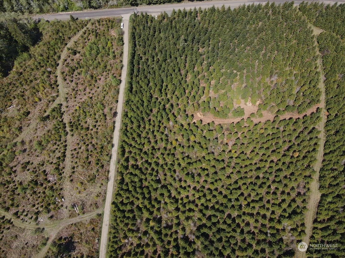 59 Foreman Road McCleary, WA 98557 - Photo 2 of 15 Gallery Image 2