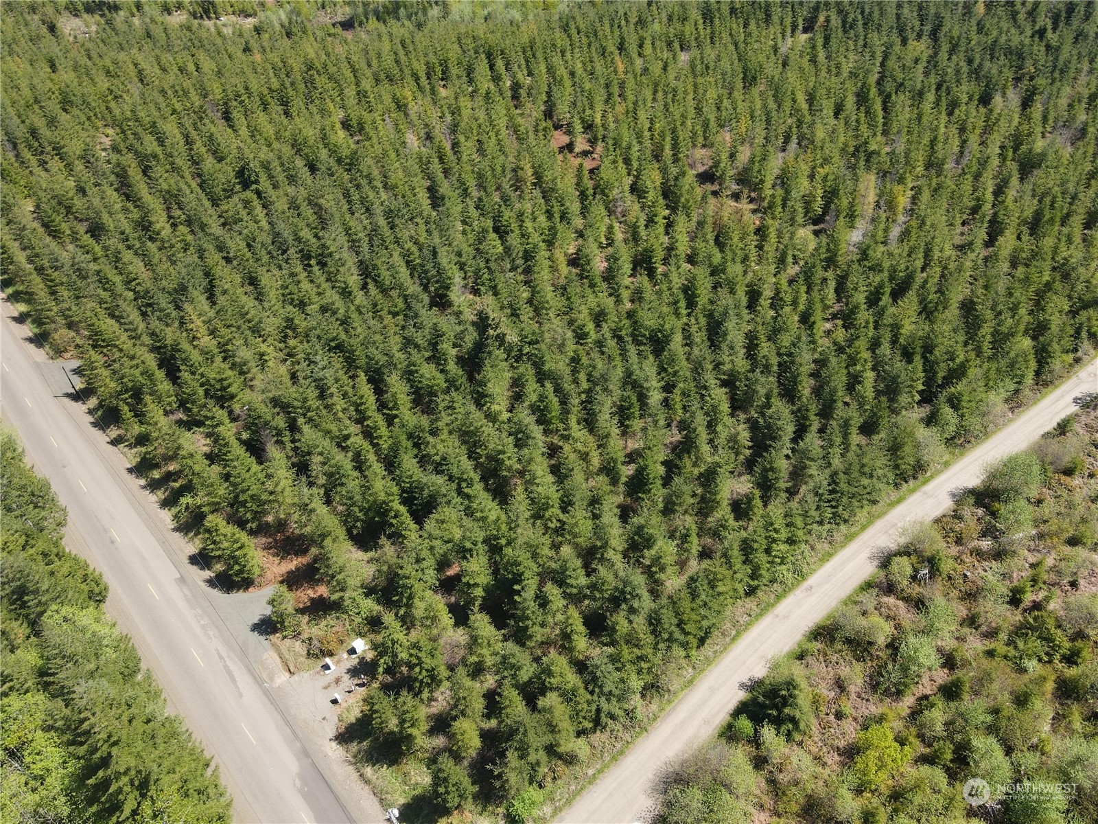 59 Foreman Road McCleary, WA 98557 - Photo 4 of 15 Gallery Image 4