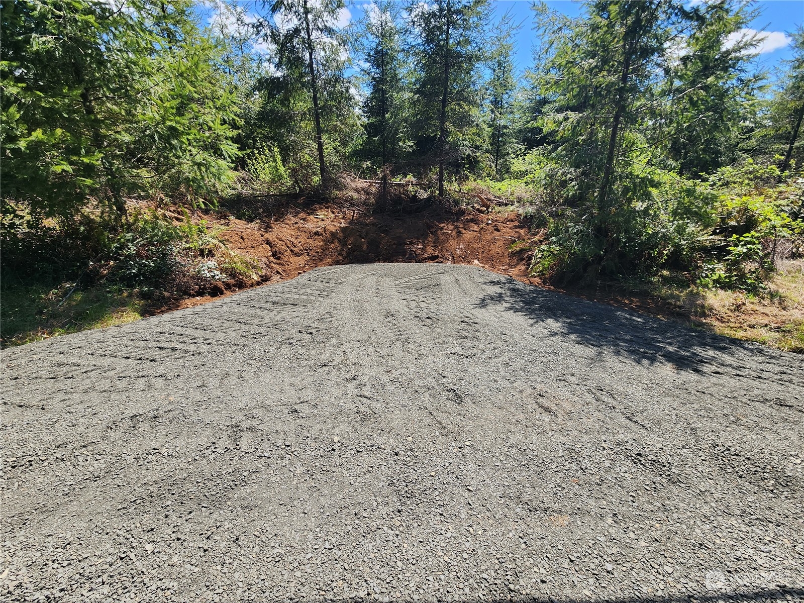 59 Foreman Road McCleary, WA 98557 - Photo 7 of 15 Gallery Image 7