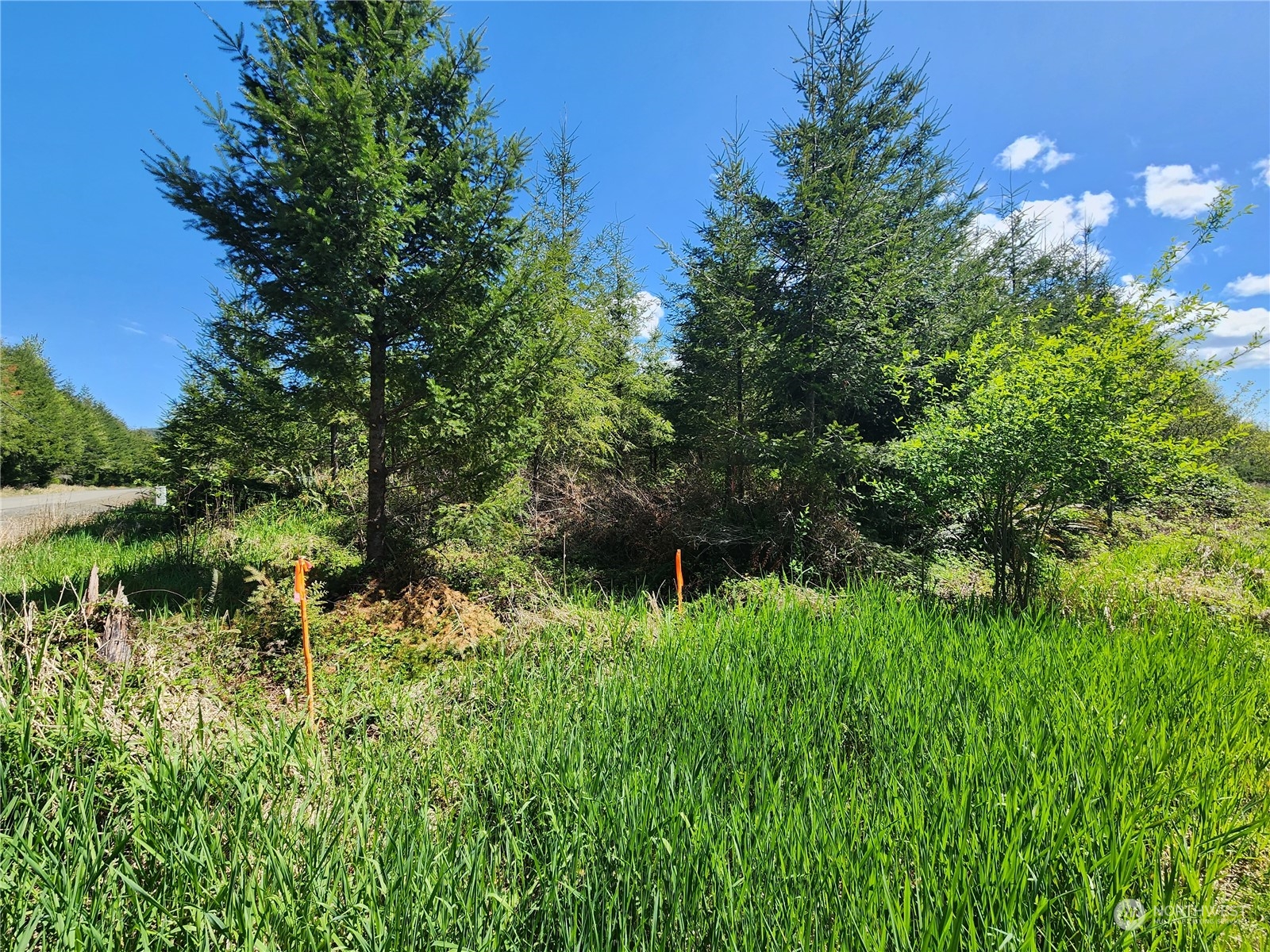 59 Foreman Road McCleary, WA 98557 - Photo 8 of 15 Gallery Image 8