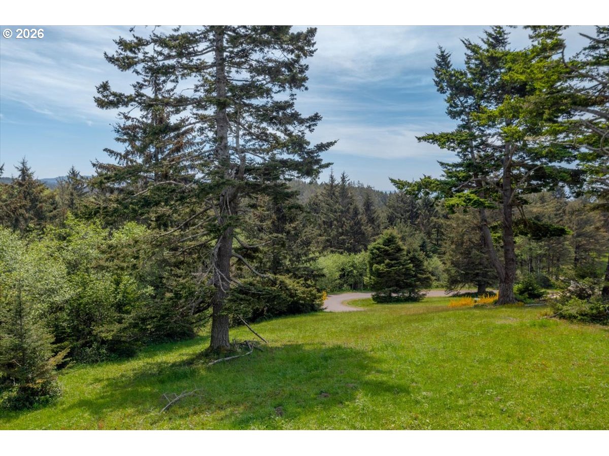 76 Megans View Point Cloverdale, OR 97112 - Photo 13 of 15 a view of a field with a tree