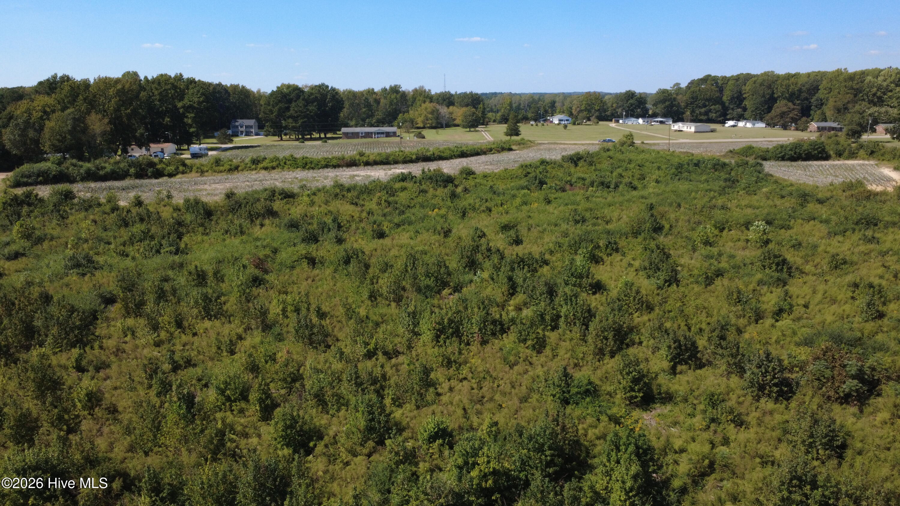 0 Ward Road Whitakers, NC 27891 - Photo 12 of 27 DJI_0508