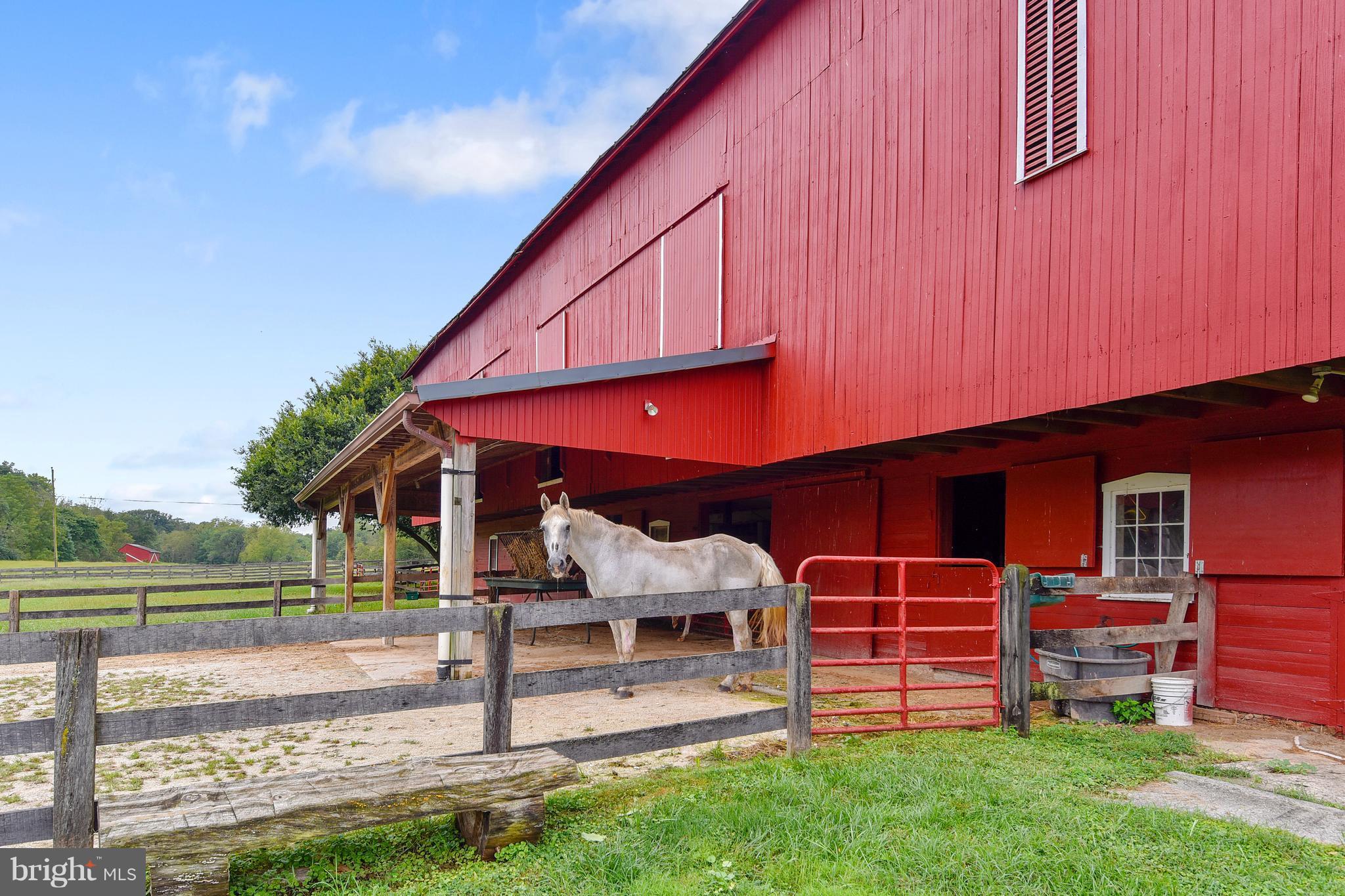 3741 Butler Road Glyndon, MD 21136 - Photo 17 of 28 Lower level of Bank Barn with 8 stalls, tack/wash.