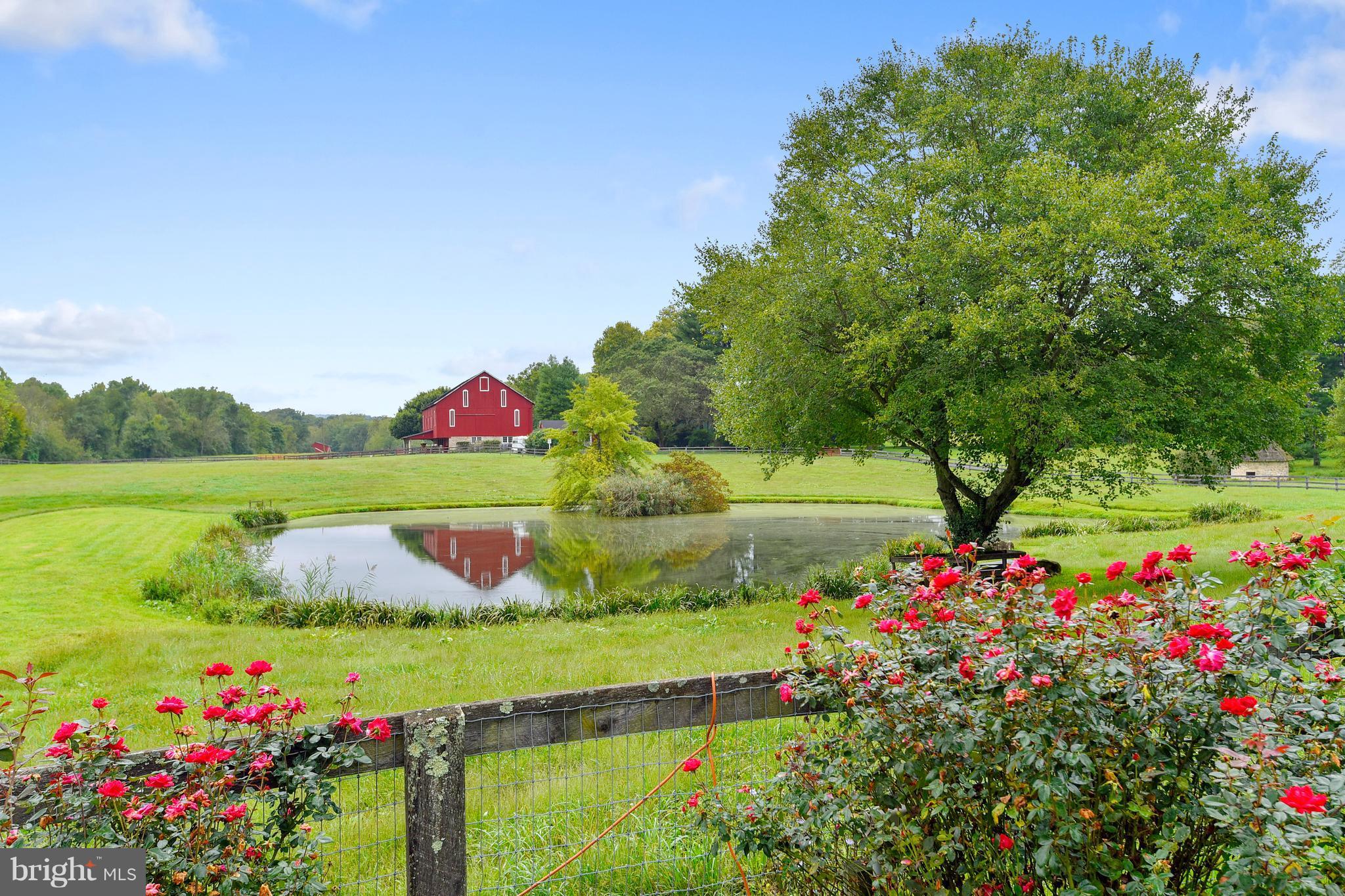 3741 Butler Road Glyndon, MD 21136 - Photo 4 of 28 Established perenial gardens offer color yr. round