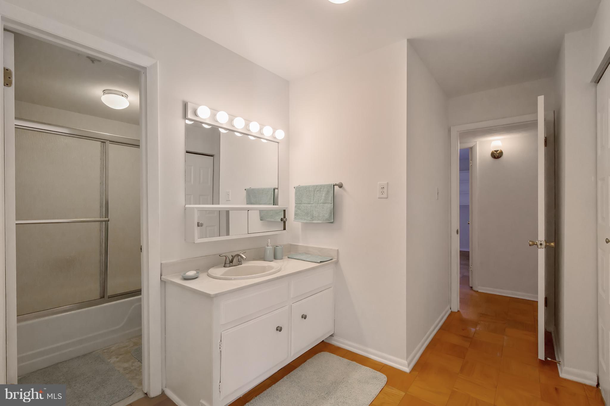 5253 West Running Brook Road, Unit 302 Columbia, MD 21044 - Photo 18 of 30 Bath (Master)