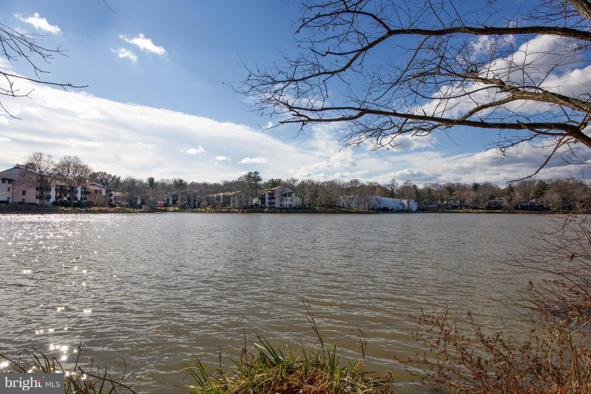 5253 West Running Brook Road, Unit 302 Columbia, MD 21044 - Photo 25 of 30 Wilde Lake 2 blocks away.