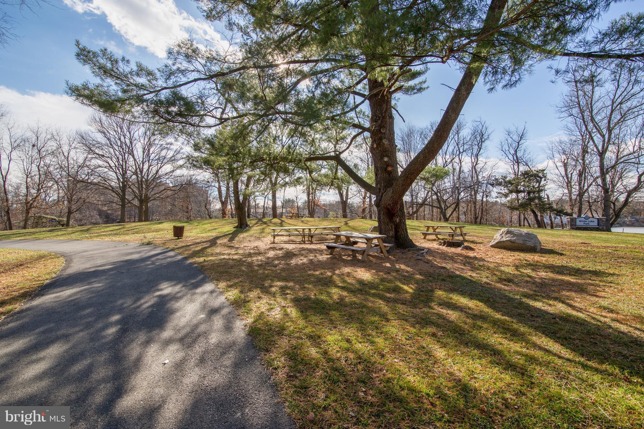 5253 West Running Brook Road, Unit 302 Columbia, MD 21044 - Photo 28 of 30 Picnic area