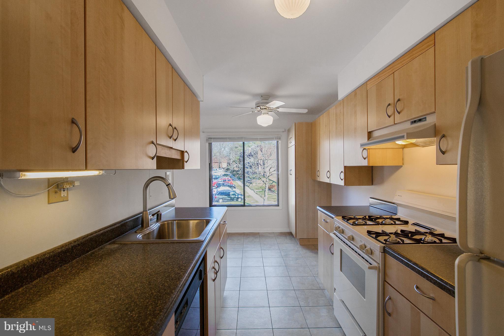 5253 West Running Brook Road, Unit 302 Columbia, MD 21044 - Photo 6 of 30 Updated Kitchen