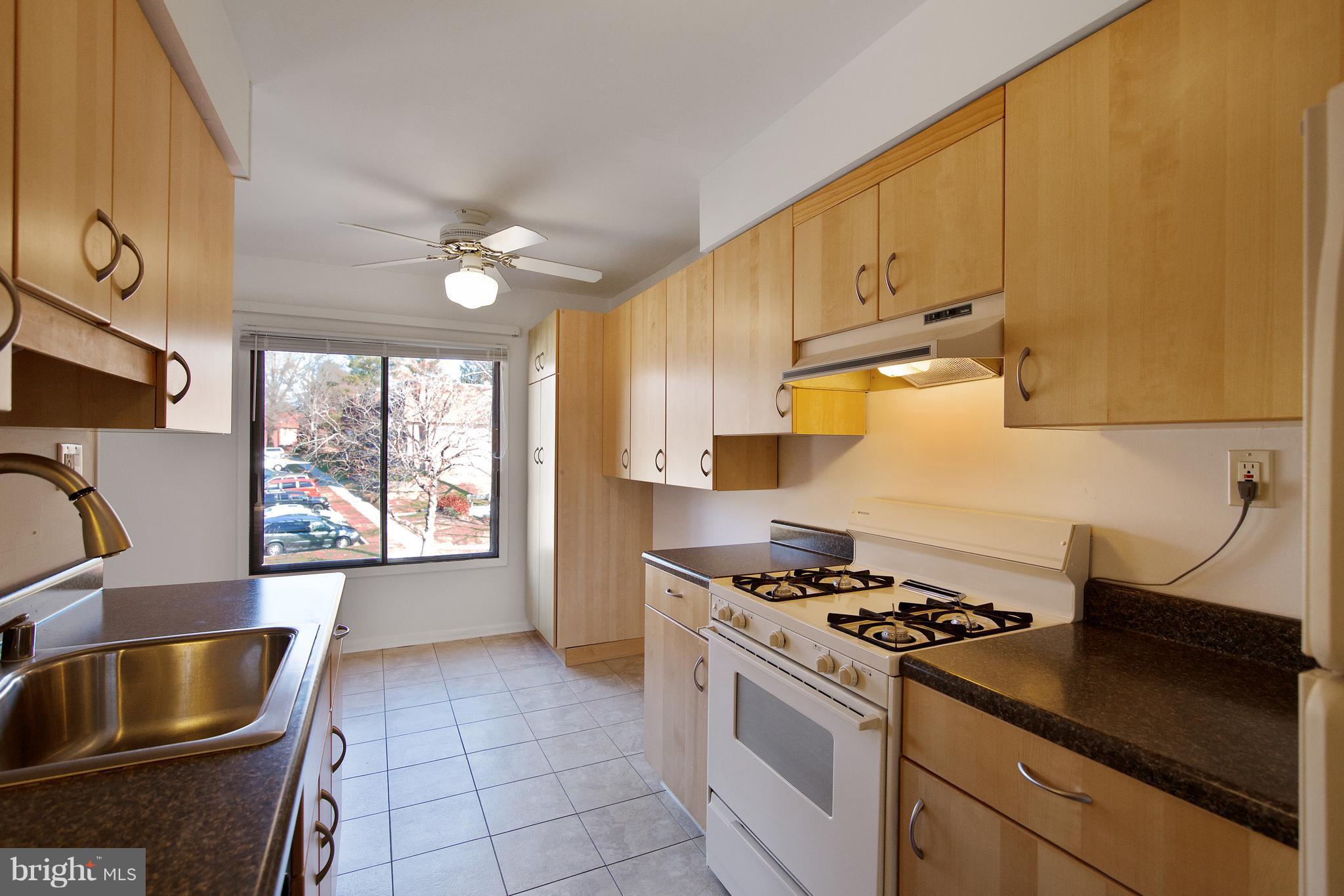5253 West Running Brook Road, Unit 302 Columbia, MD 21044 - Photo 9 of 30 Updated Kitchen