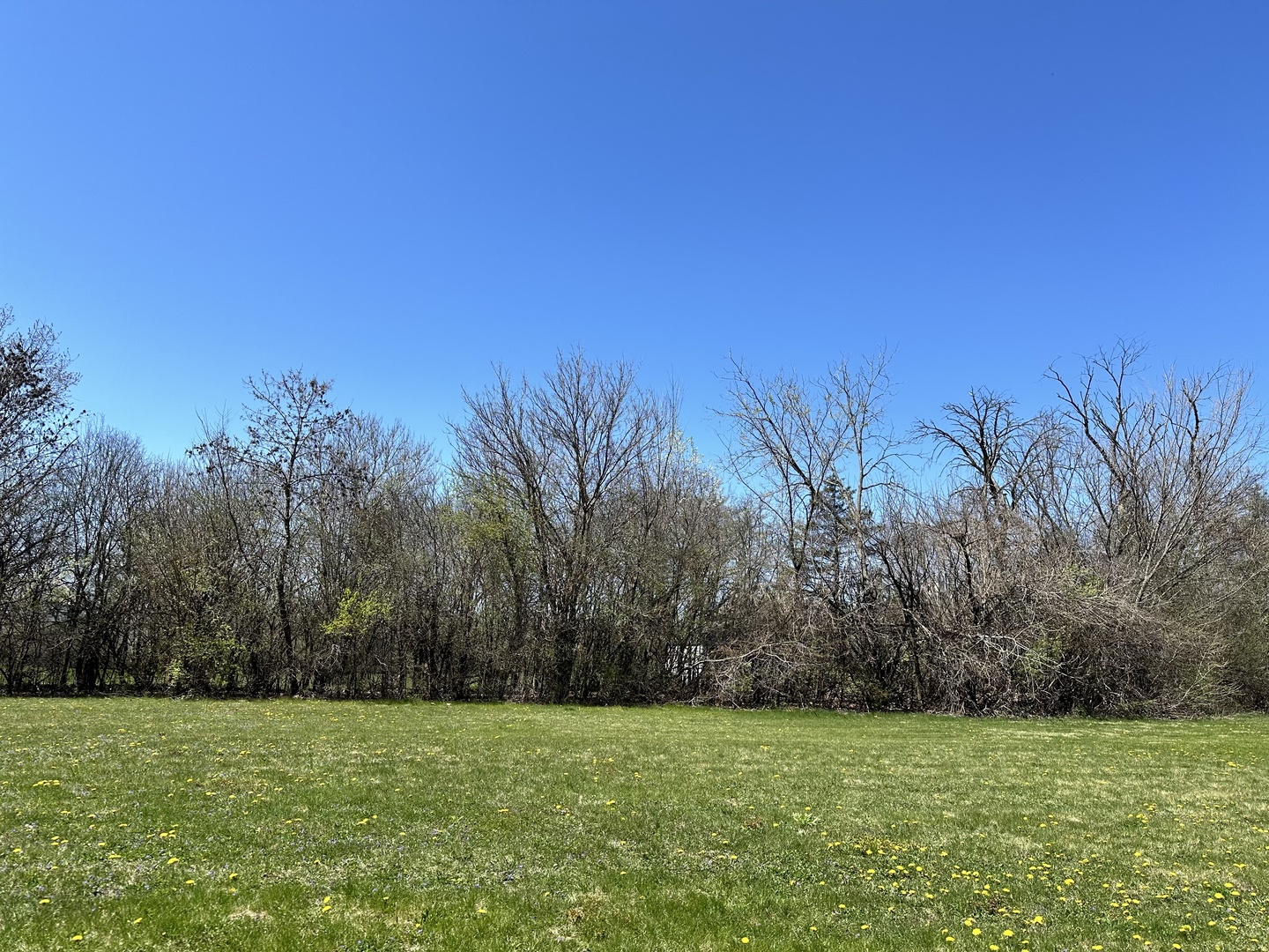 110 East Farnham Lane Wheaton, IL 60189 - Photo 3 of 3