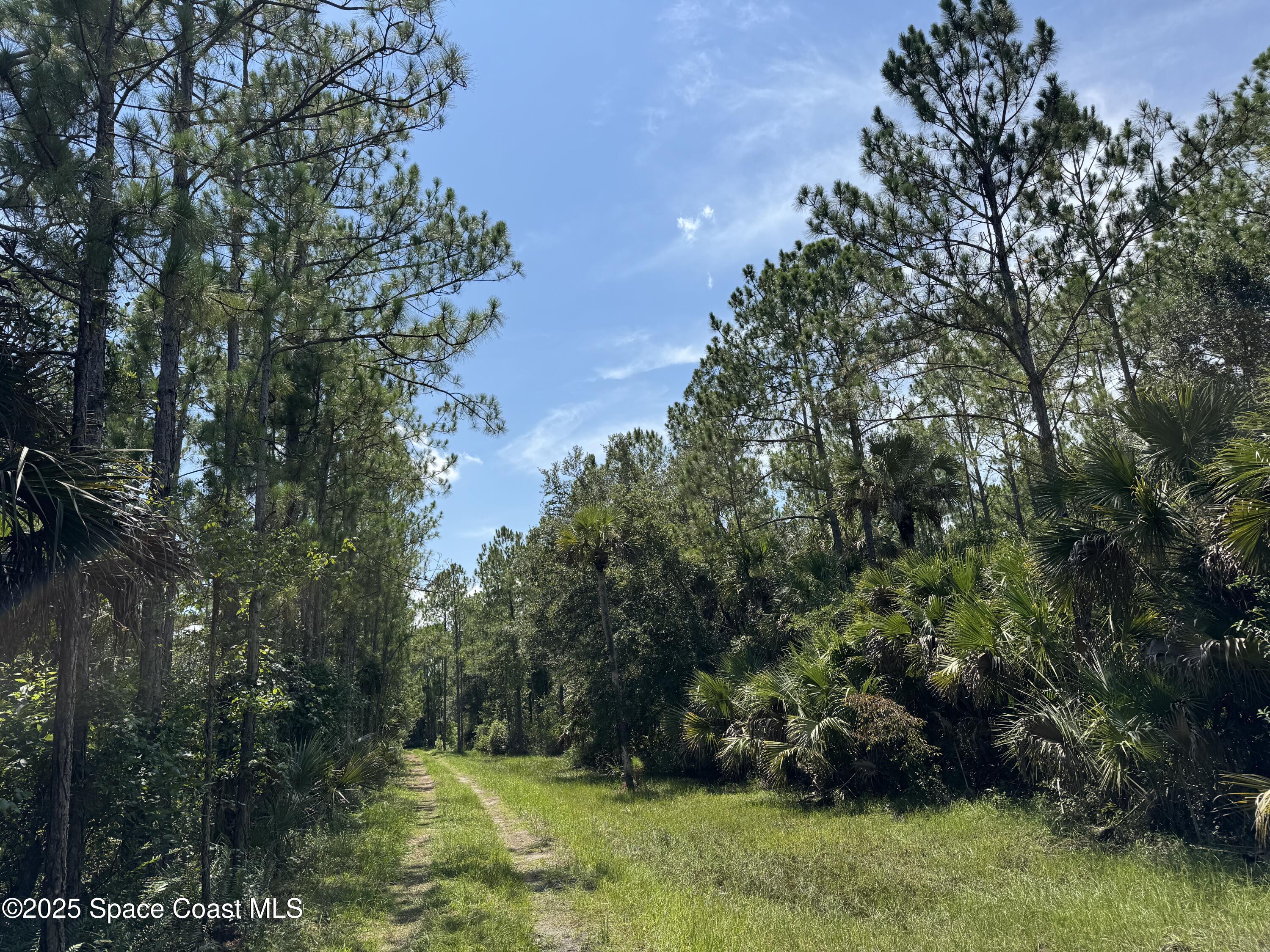 4300 Justa Road Mims, FL 32754 - Photo 27 of 55 a view of outdoor space