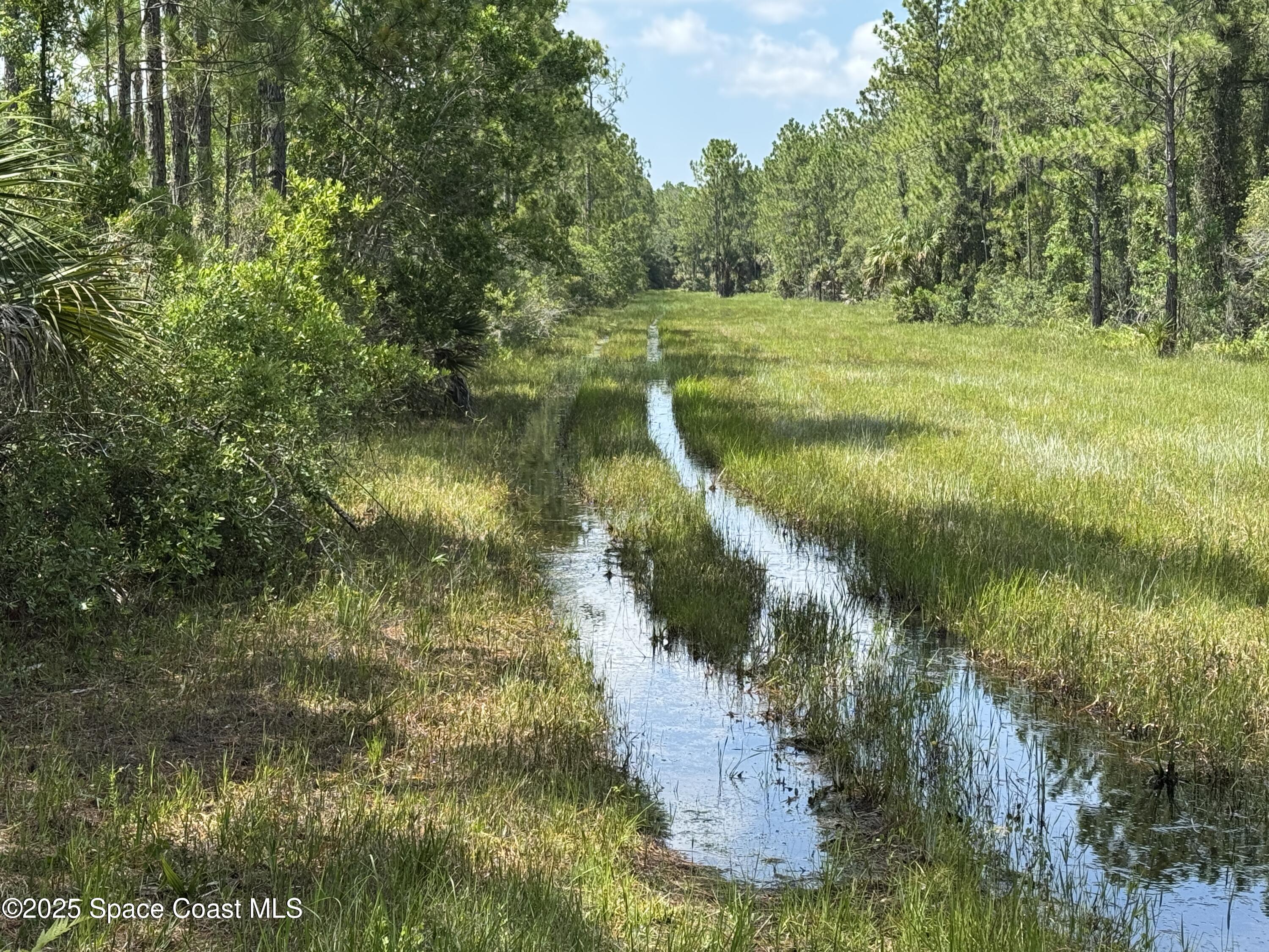 4300 Justa Road Mims, FL 32754 - Photo 28 of 55 a view of a lake with a yard