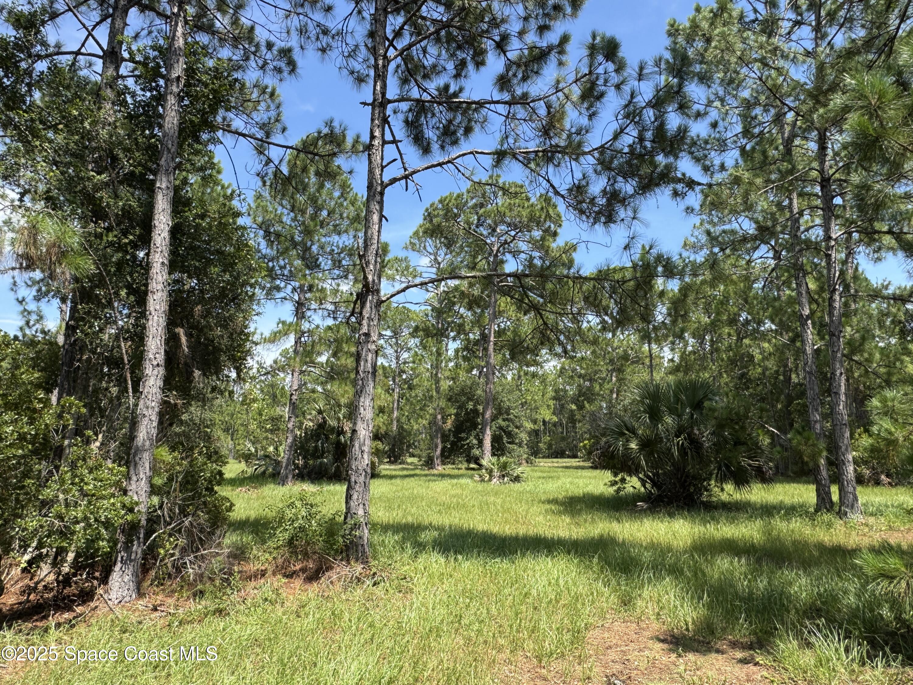 4300 Justa Road Mims, FL 32754 - Photo 30 of 55 a view of a park