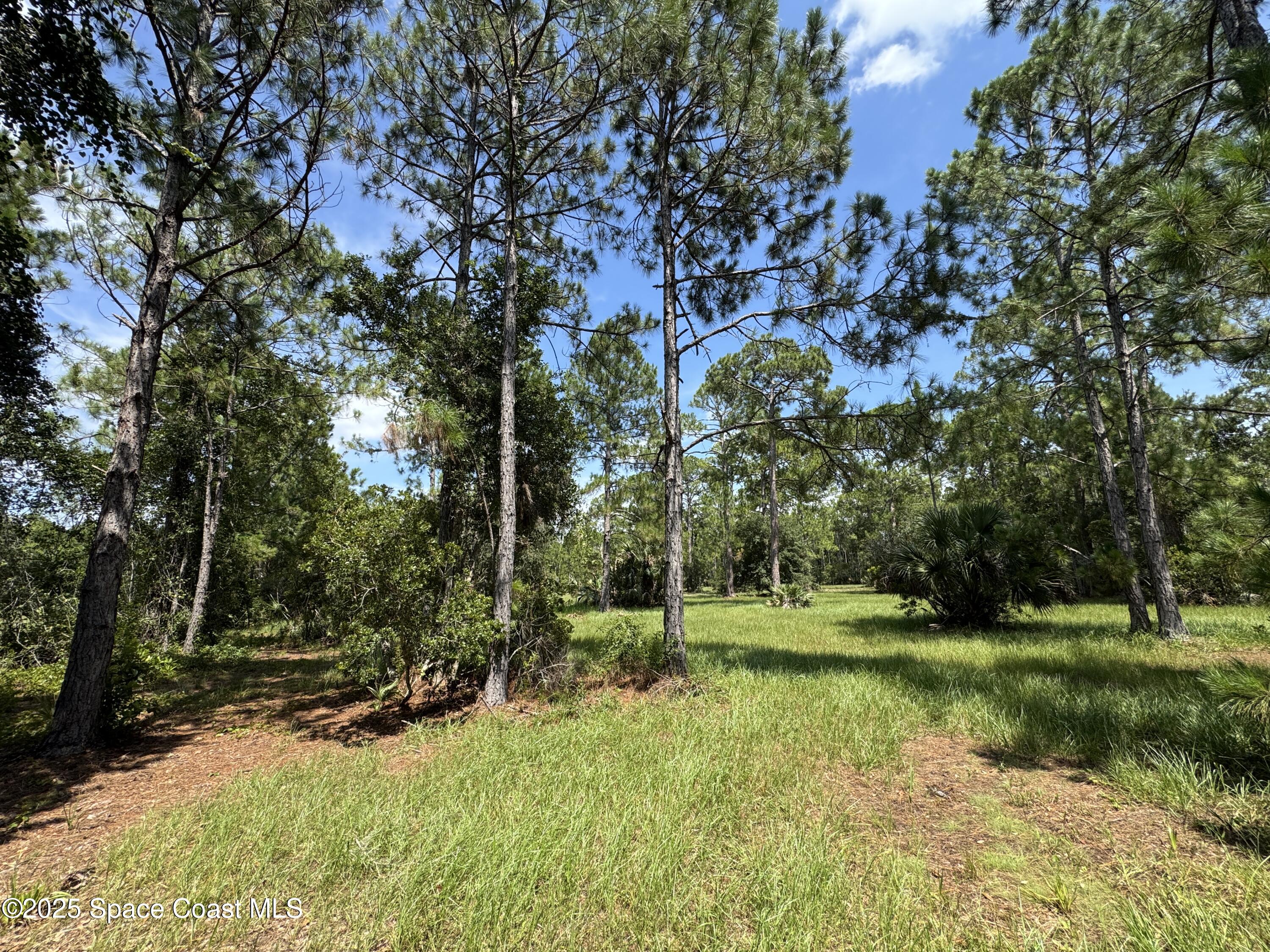 4300 Justa Road Mims, FL 32754 - Photo 31 of 55 a view of a park