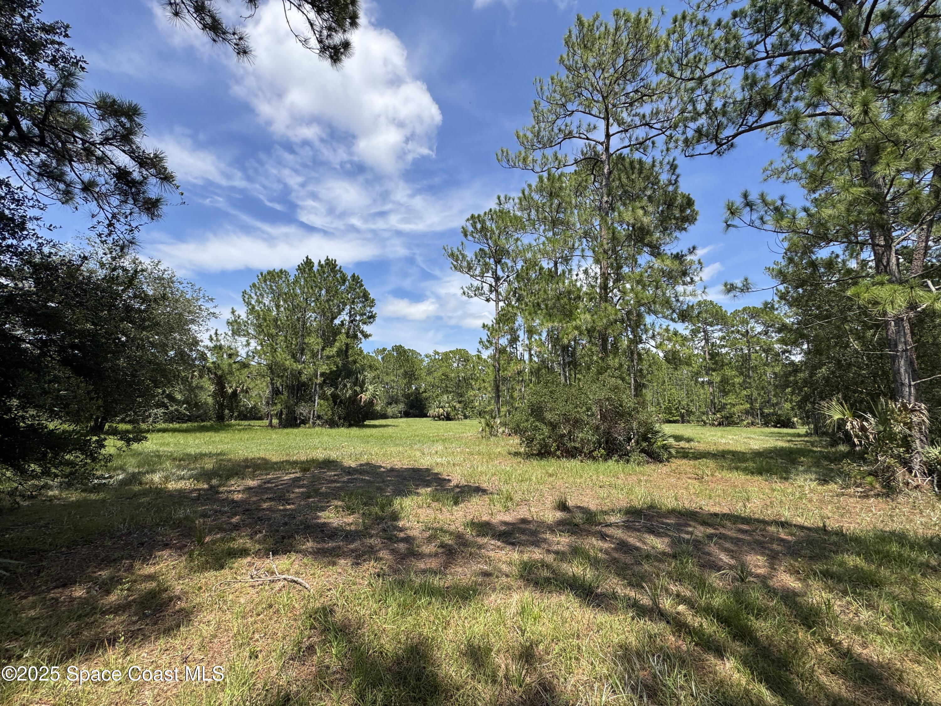 4300 Justa Road Mims, FL 32754 - Photo 32 of 55 a view of a field with trees