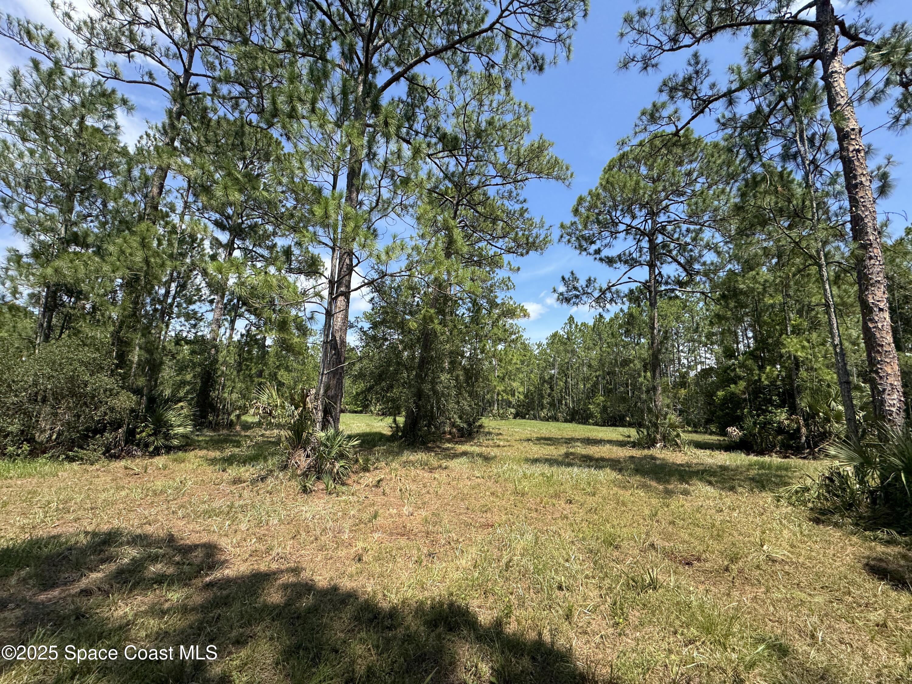 4300 Justa Road Mims, FL 32754 - Photo 33 of 55 a view of outdoor space with trees all around
