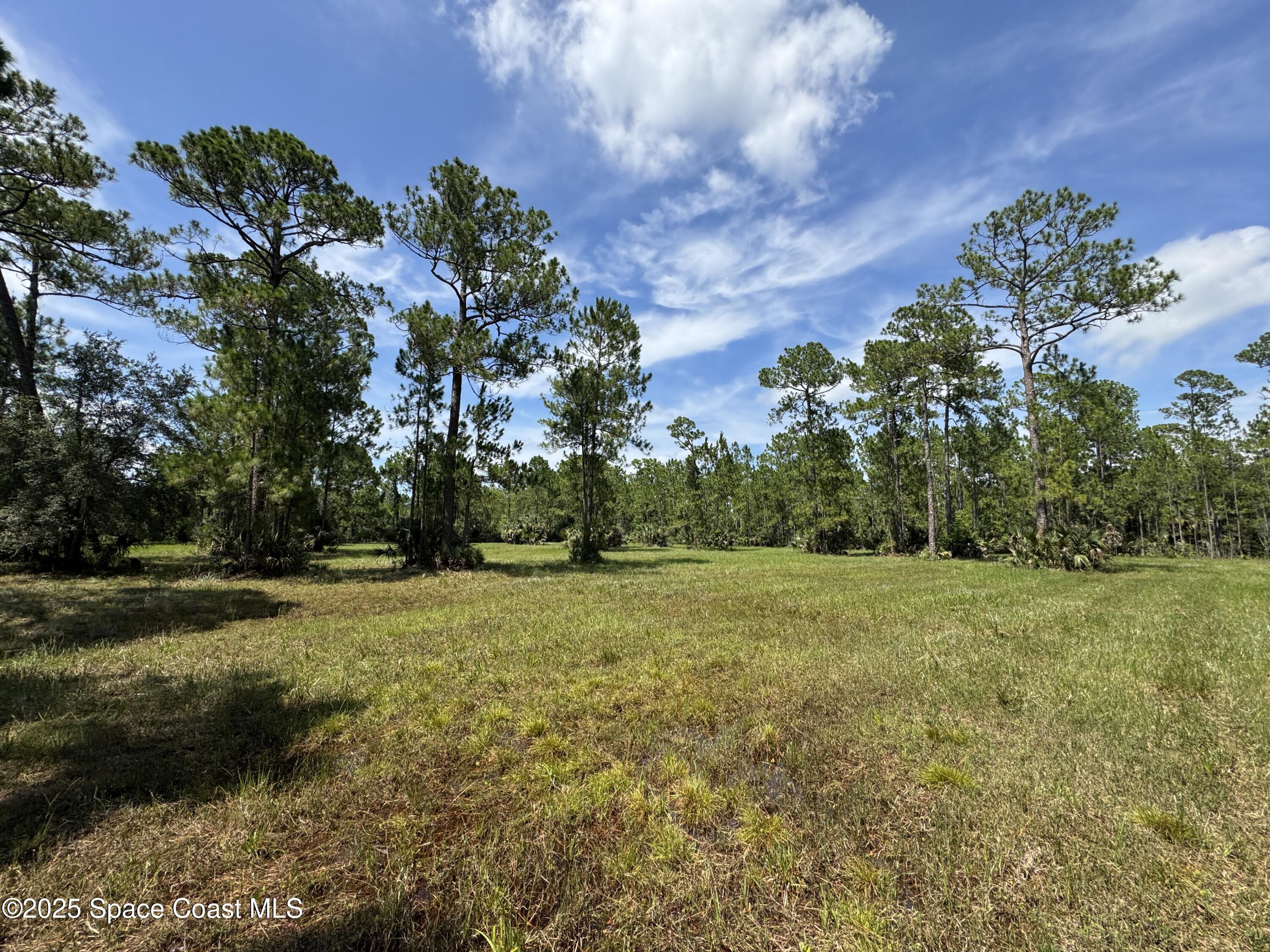 4300 Justa Road Mims, FL 32754 - Photo 34 of 55 a view of outdoor space and yard