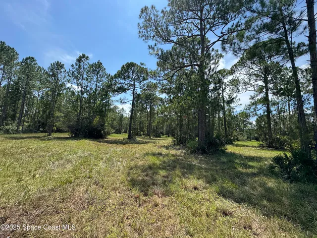 a view of a lake with a tree in back yard