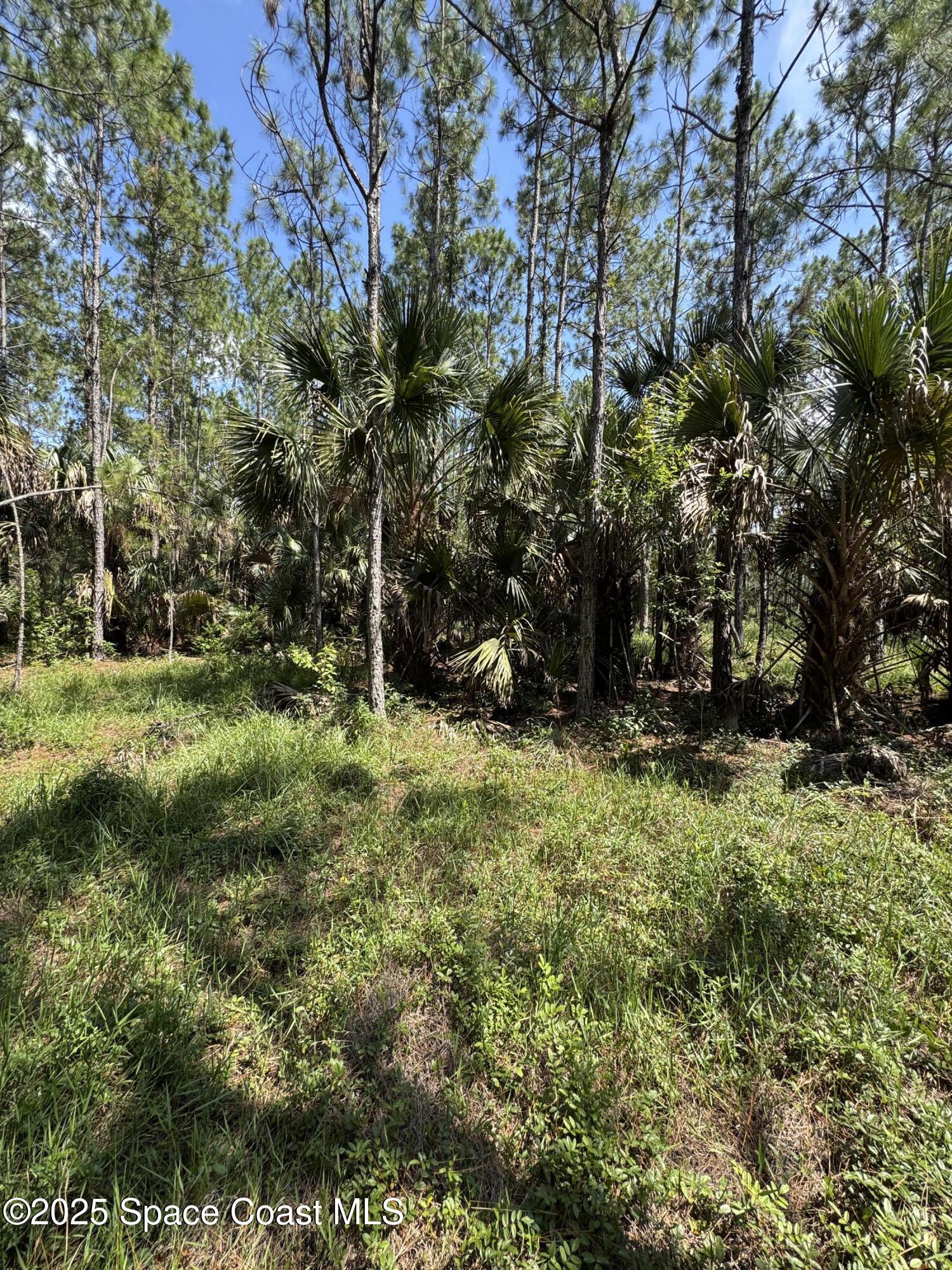 4300 Justa Road Mims, FL 32754 - Photo 36 of 55 a view of outdoor space and yard