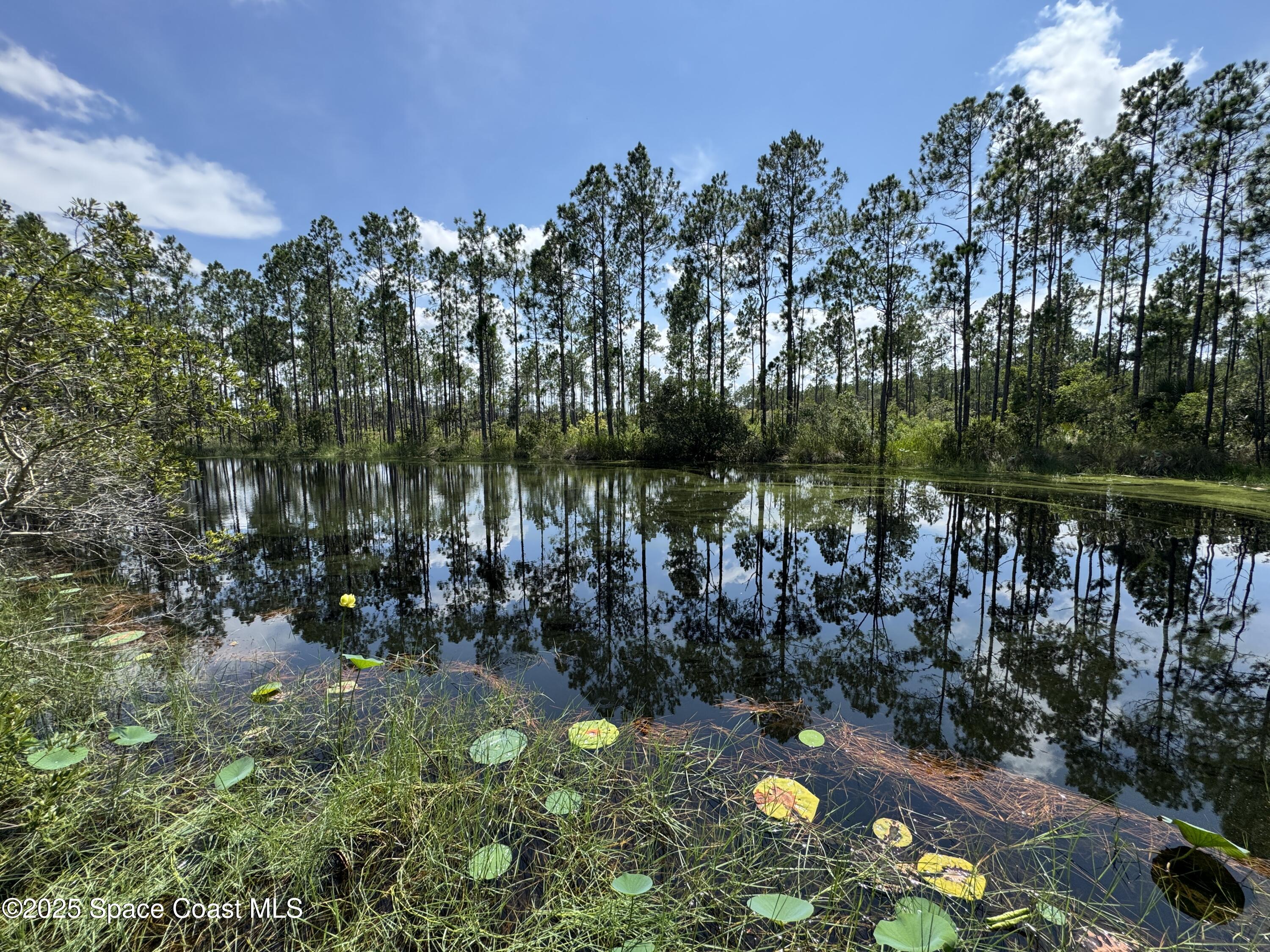 4300 Justa Road Mims, FL 32754 - Photo 38 of 55 a view of lake