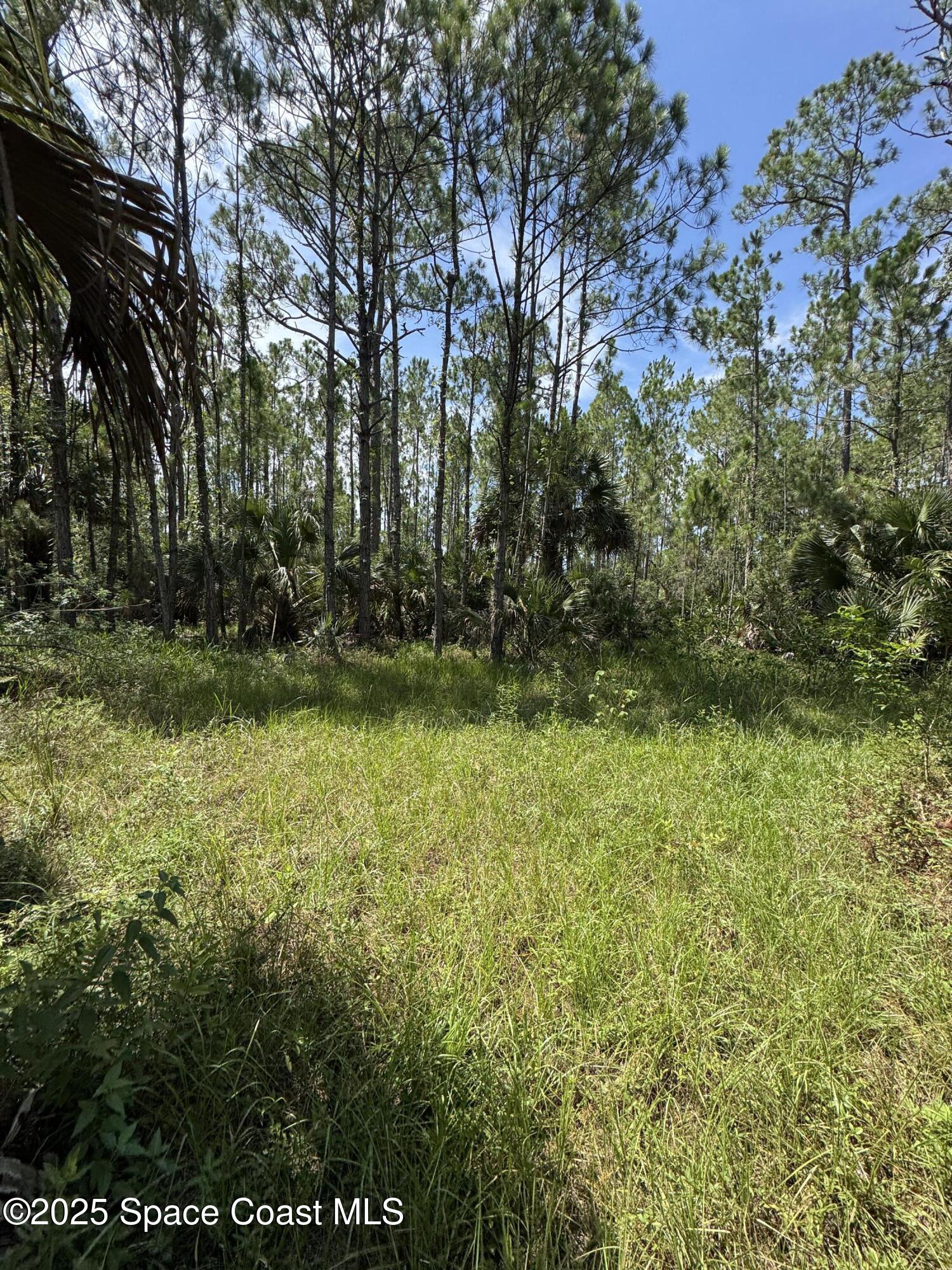 4300 Justa Road Mims, FL 32754 - Photo 41 of 55 a view of outdoor space with deck and yard