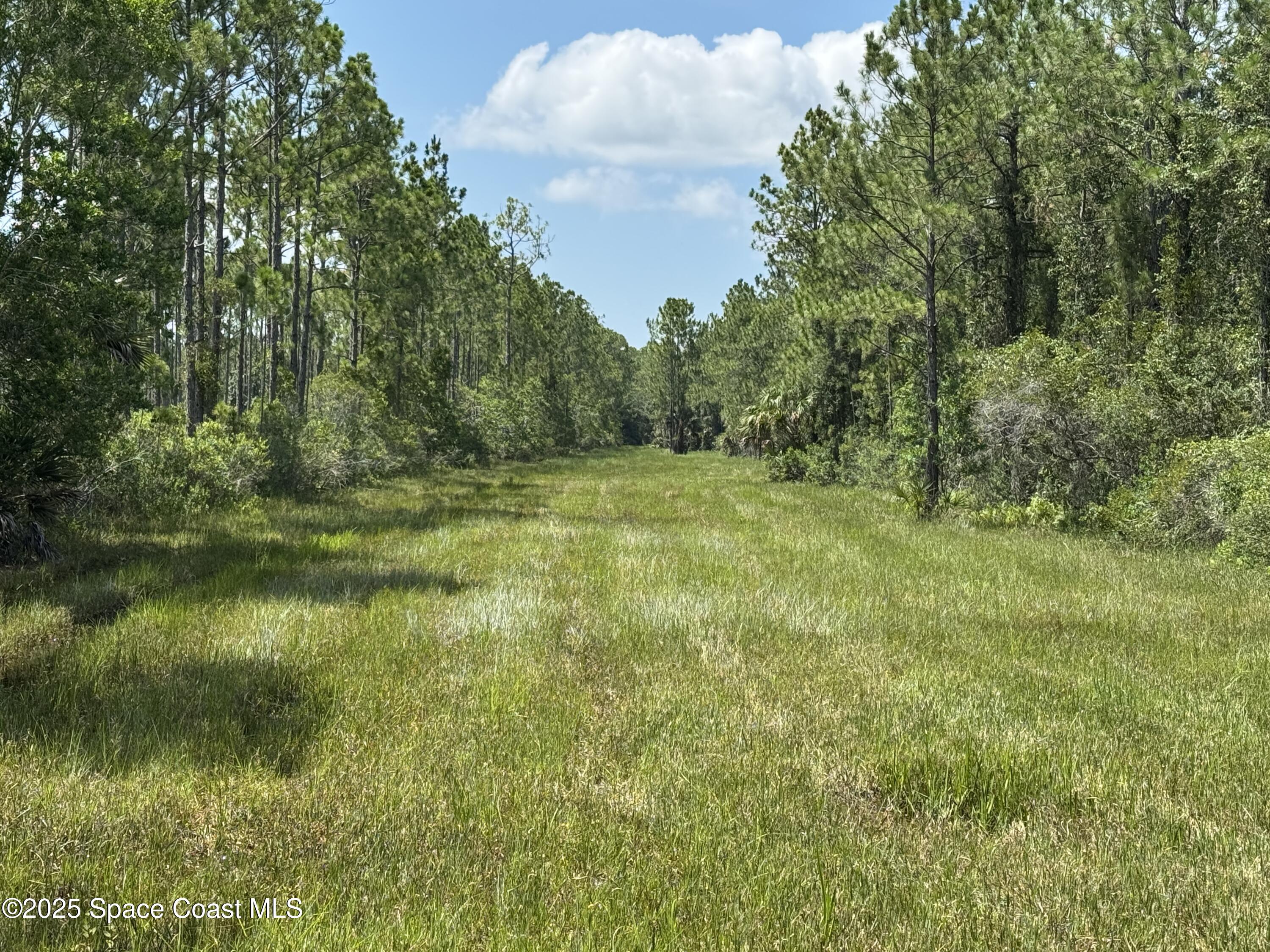 4300 Justa Road Mims, FL 32754 - Photo 5 of 55 a backyard of a house with lots of green space