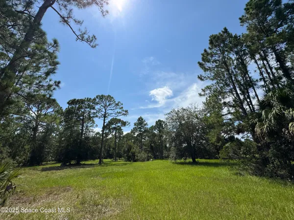 a big yard with lots of tress in it