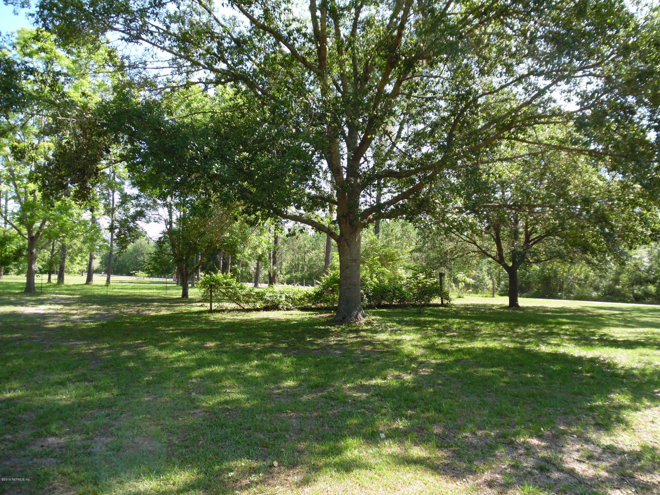 19484 Kenny Conner Road Hilliard, FL 32046 - Photo 29 of 31 PECAN TREES