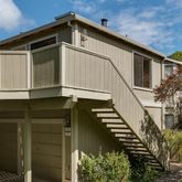 a white building with a large window and flower plants
