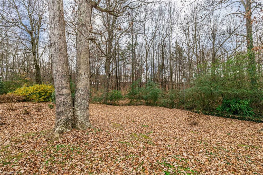501 Springwood Road Asheboro, NC 27205 - Photo 43 of 48 Gallery Image 43