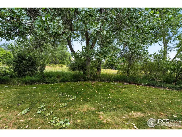 a view of a back yard