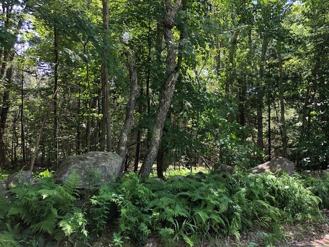 0 Salisbury Road Foster, RI 02825 - Photo 1 of 9