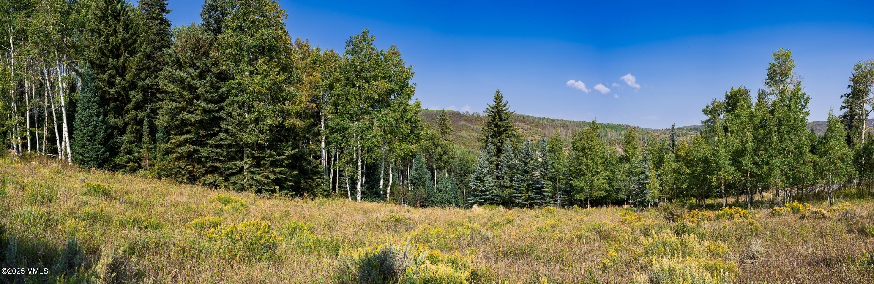 284 Settlers Loop Edwards, CO 81632 - Photo 27 of 53 284_Settlers_Loop_Lot_38_018