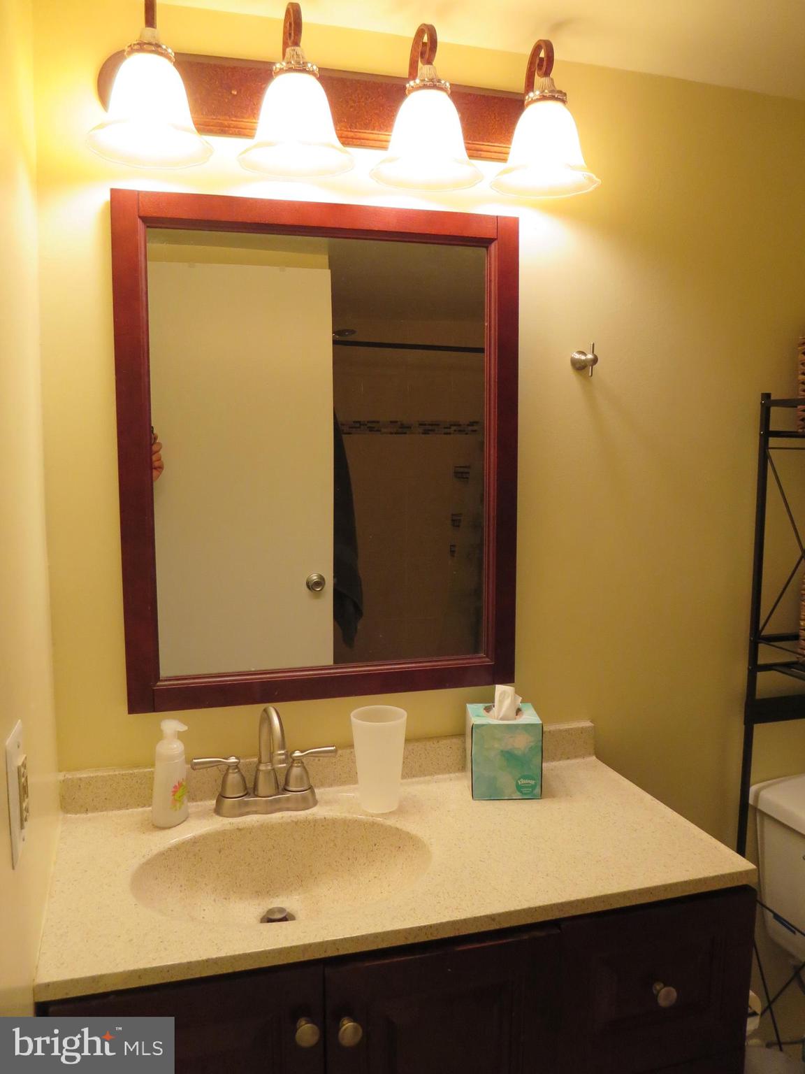1413 Northgate Square, Unit 1C Reston, VA 20190 - Photo 14 of 22 Master Bath