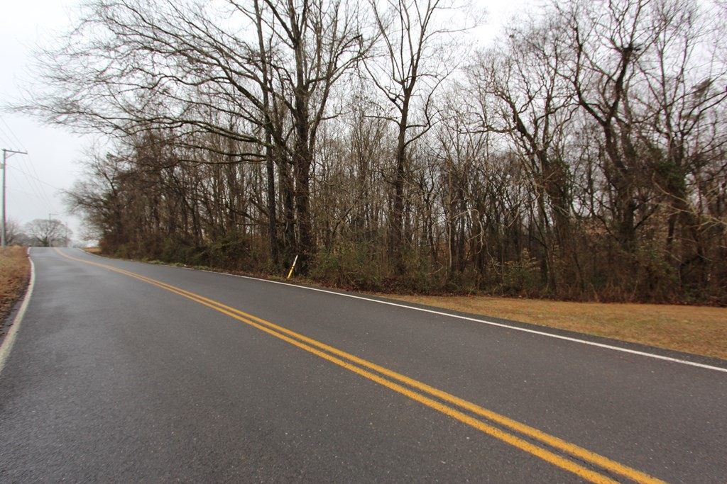 2 Indian Warpath Road Sevierville, TN 37876 - Photo 3 of 5 Gallery Image 3