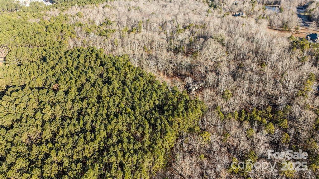6521 Steele Road Waxhaw, NC 28173 - Photo 6 of 7 a close up of a plant