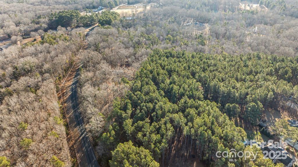 6521 Steele Road Waxhaw, NC 28173 - Photo 7 of 7 a view of a forest with a tree