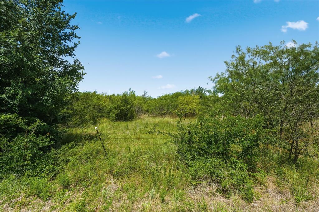 663 North Katy Road Elm Mott, TX 76640 - Photo 5 of 25 Expansive undeveloped land with abundant natural vegetation and mature trees