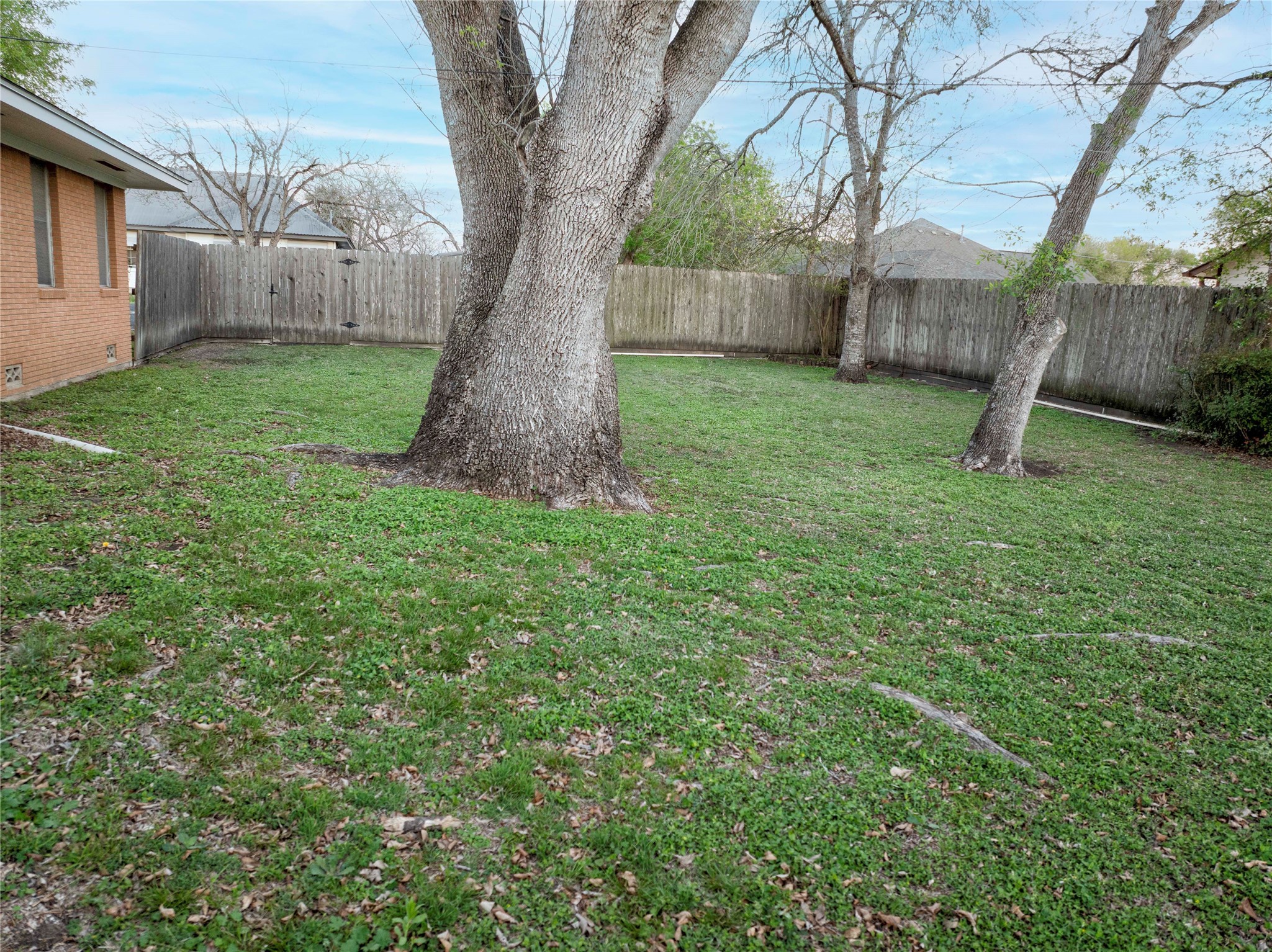 302 Baumgarten Street Schulenburg, TX 78956 - Photo 22 of 23