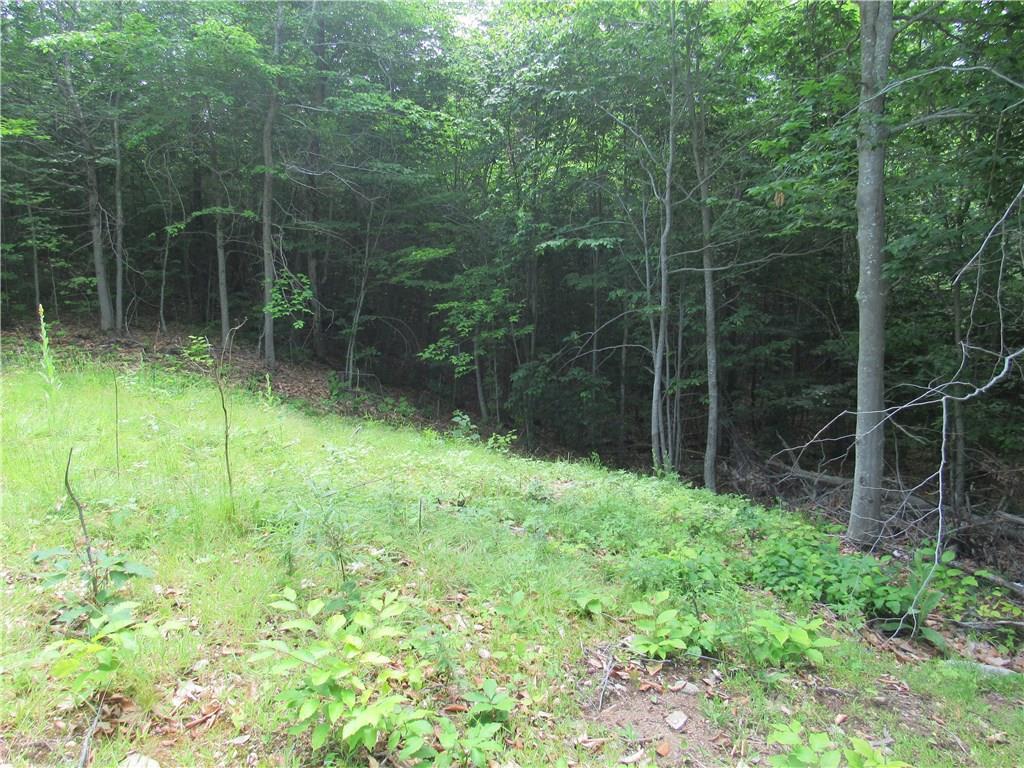 Lot 304-00 Mountain View Road Gray, ME 04039 - Photo 8 of 12 Photo