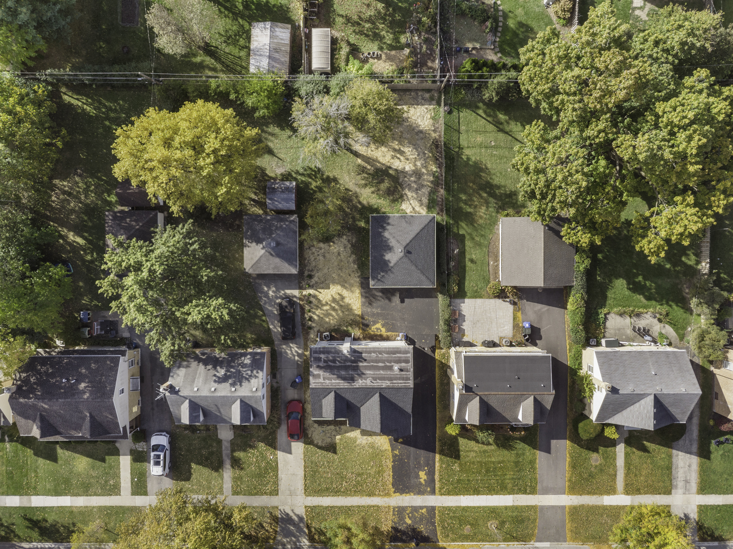 406 North Elm Street Mount Prospect, IL 60056 - Photo 6 of 28 a picture of houses with outdoor space