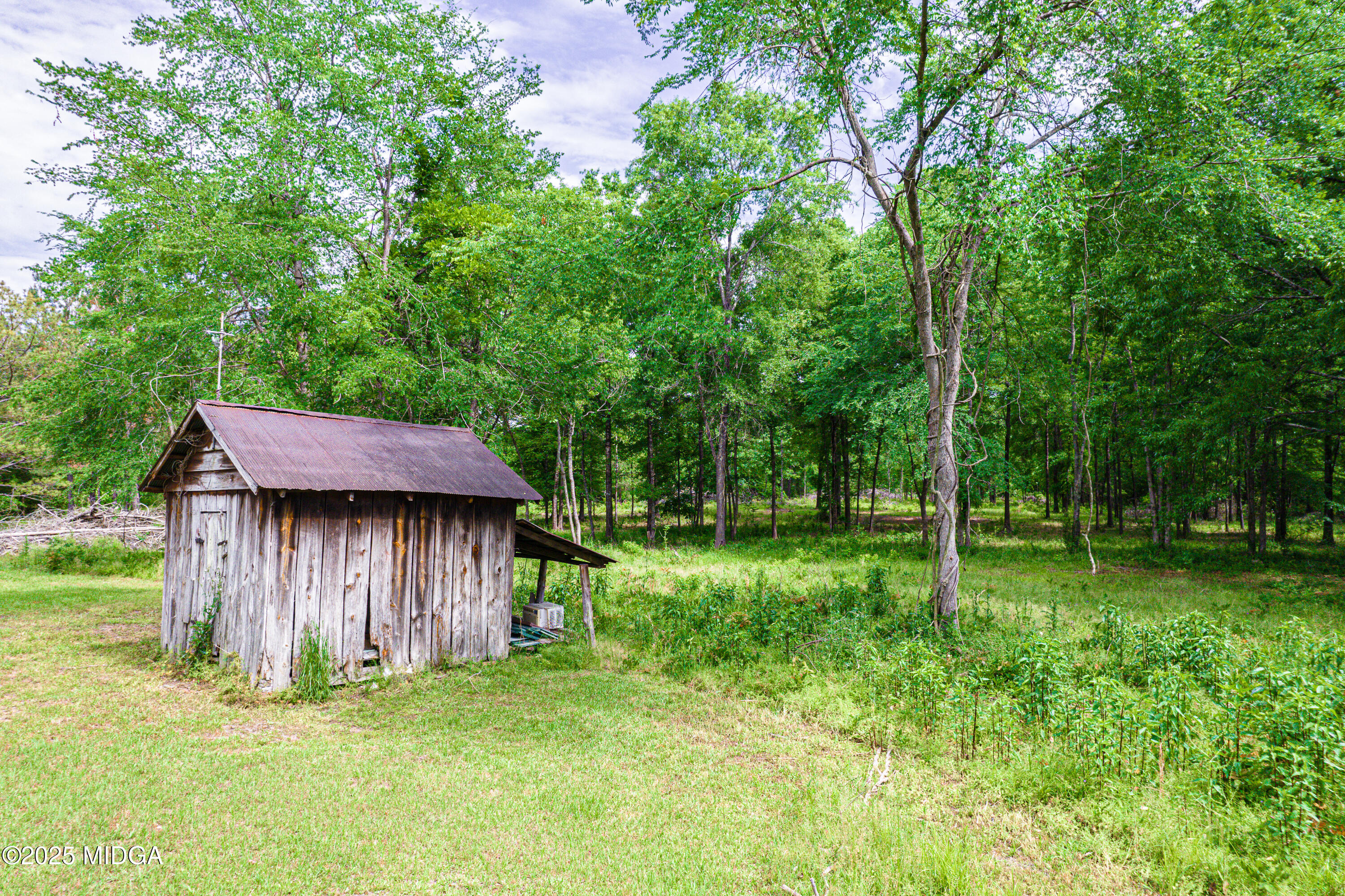 1512 Highway 22 Haddock, GA 31033 - Photo 24 of 32 a backyard of a house with plants and large tree