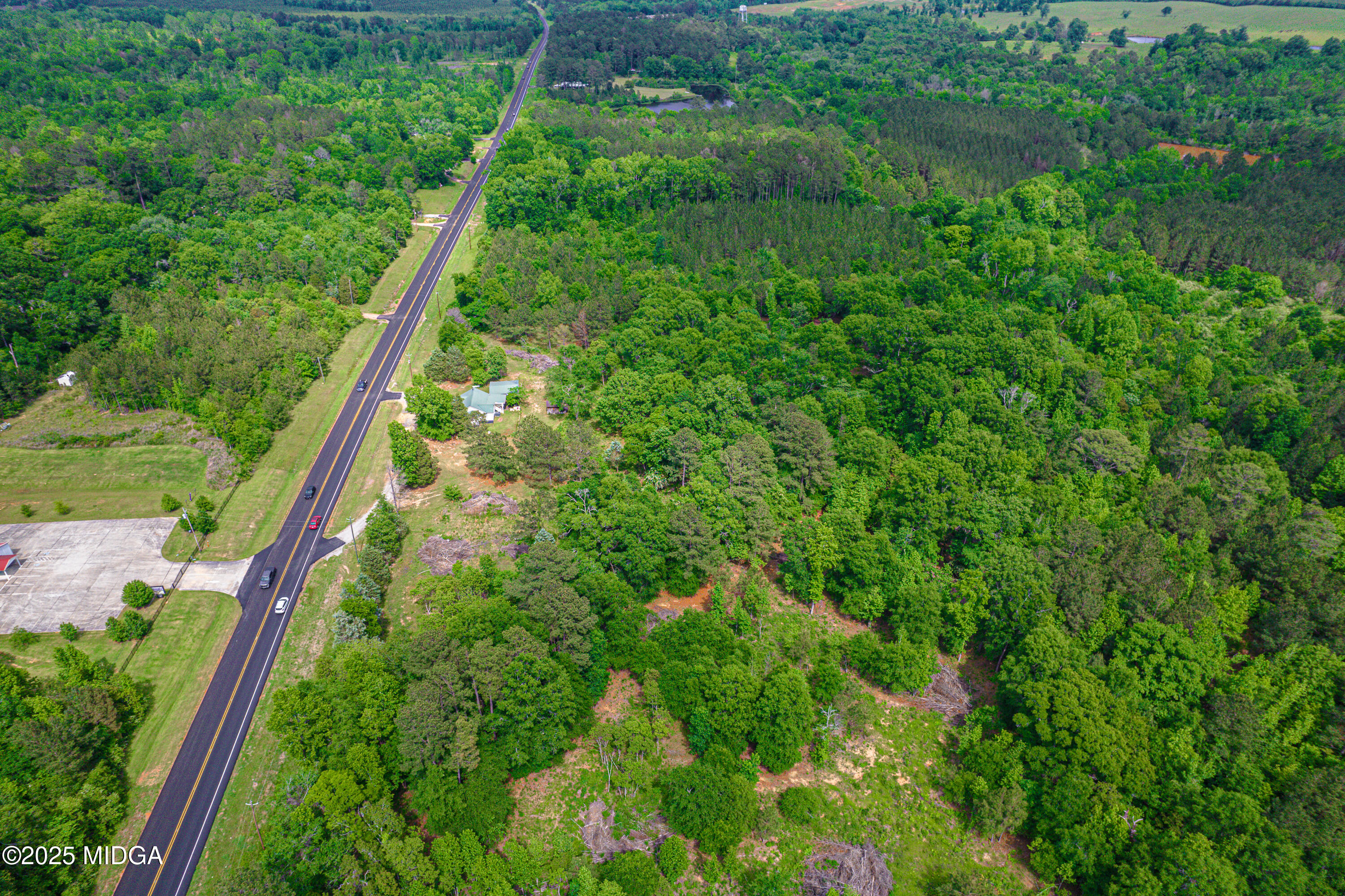 1512 Highway 22 Haddock, GA 31033 - Photo 32 of 32 a view of a yard with a plant