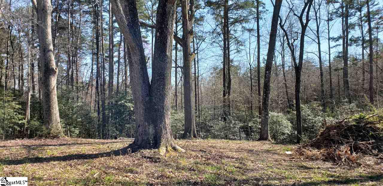 0 Hobbs Road Taylors, SC 29687 - Photo 4 of 12 Gallery Image 4