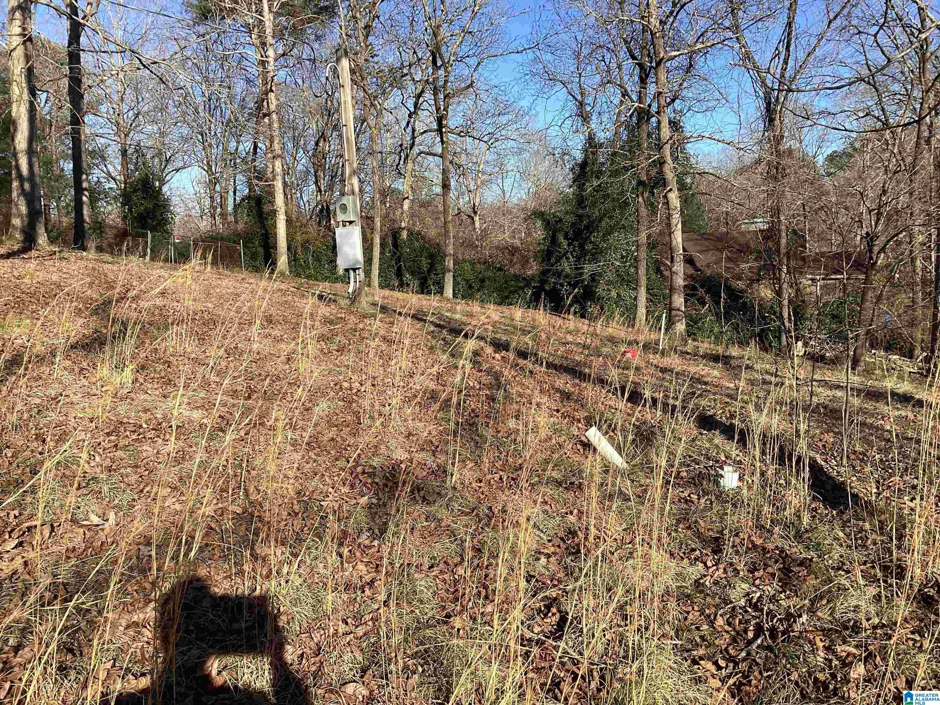 7964 Blackie Curren Road Bessemer, AL 35022 - Photo 35 of 35