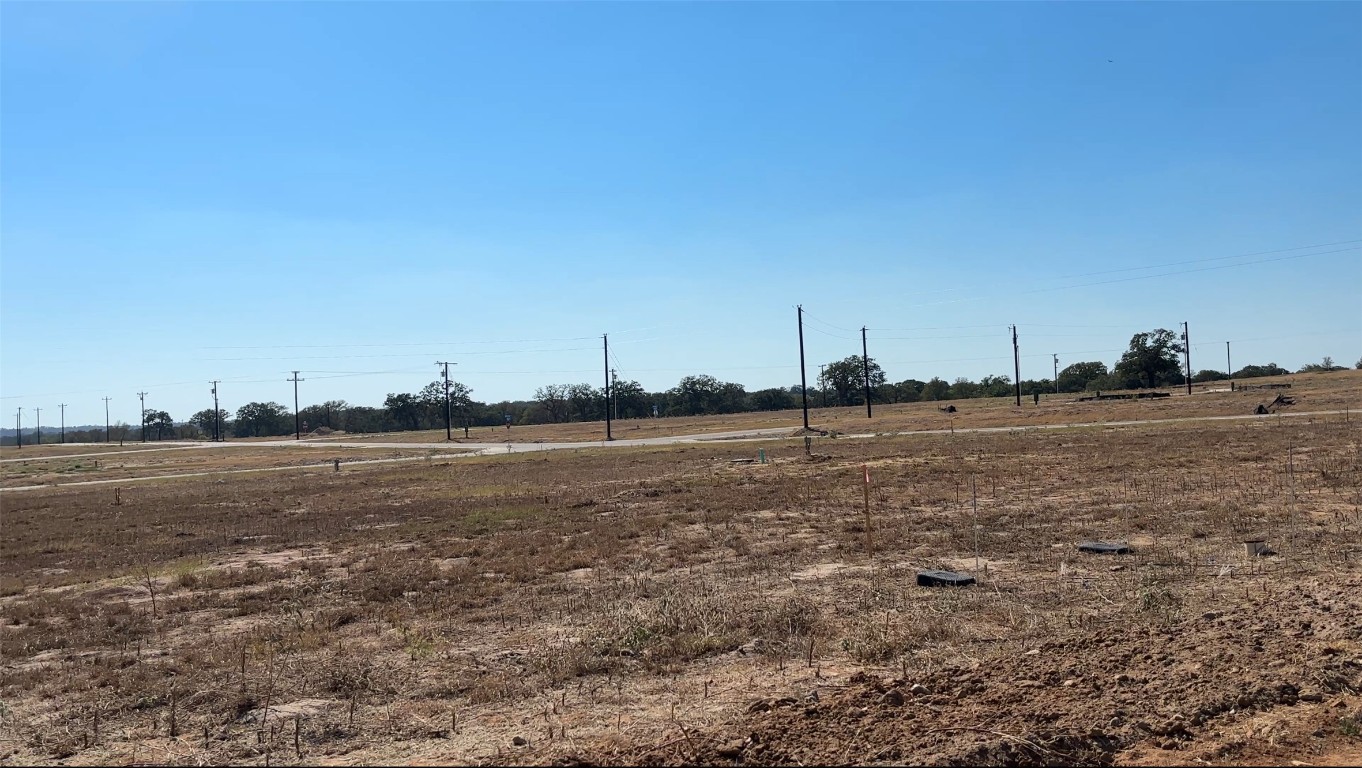 167 Palisade Road Elgin, TX 78621 - Photo 4 of 7